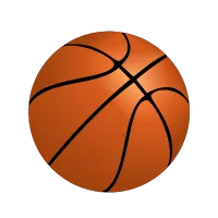 Icon Basketball