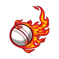 Icon Cricket