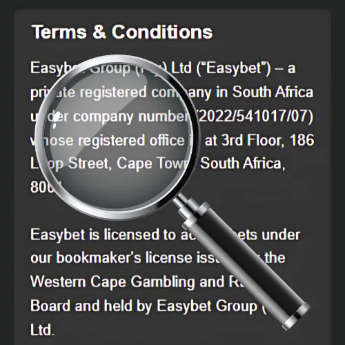 Easybet Trusted Online Casino Bookmaker In South Africa